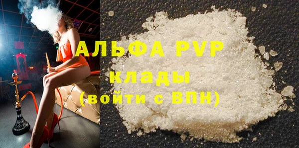 ГАЛЛЮЦИНОГЕННЫЕ ГРИБЫ Бородино