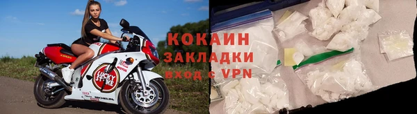 ГАЛЛЮЦИНОГЕННЫЕ ГРИБЫ Бородино