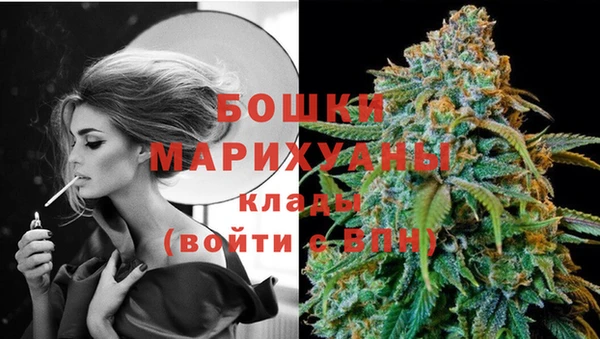 ГАЛЛЮЦИНОГЕННЫЕ ГРИБЫ Бородино