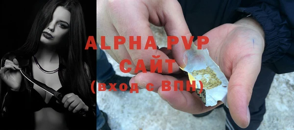 ГАЛЛЮЦИНОГЕННЫЕ ГРИБЫ Бородино