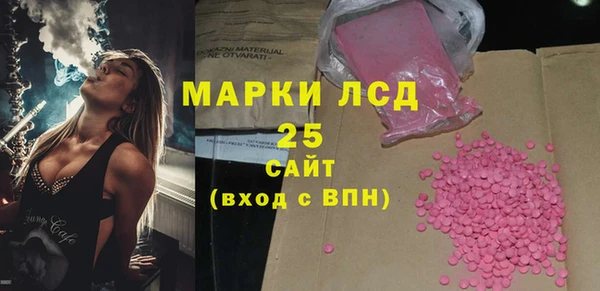 ГАЛЛЮЦИНОГЕННЫЕ ГРИБЫ Бородино