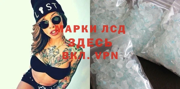 ГАЛЛЮЦИНОГЕННЫЕ ГРИБЫ Бородино