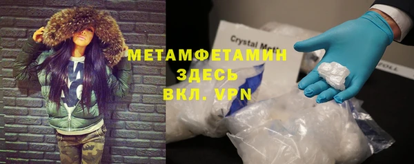 ГАЛЛЮЦИНОГЕННЫЕ ГРИБЫ Бородино