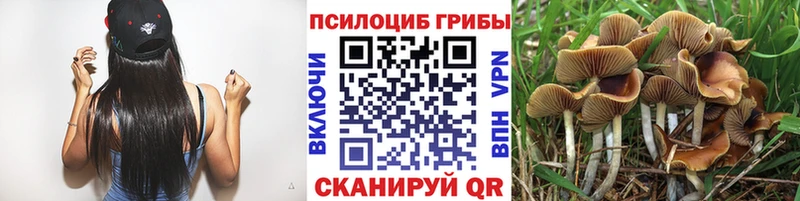 Псилоцибиновые грибы GOLDEN TEACHER  гидра маркетплейс  Прокопьевск 